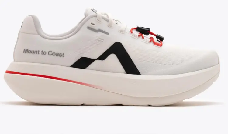 Mountain on the Coast C1