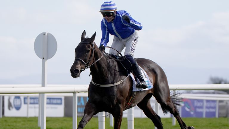 Energumene won gold for Willie Mullins at Fairyhouse