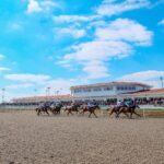 Chelmsford Racing Under Threat as BHA Denies License