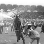 Supporters on the pitch before the 1963 French Champions League match.