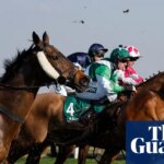 The horse welfare debate helps highlight the Grand National's precarious status