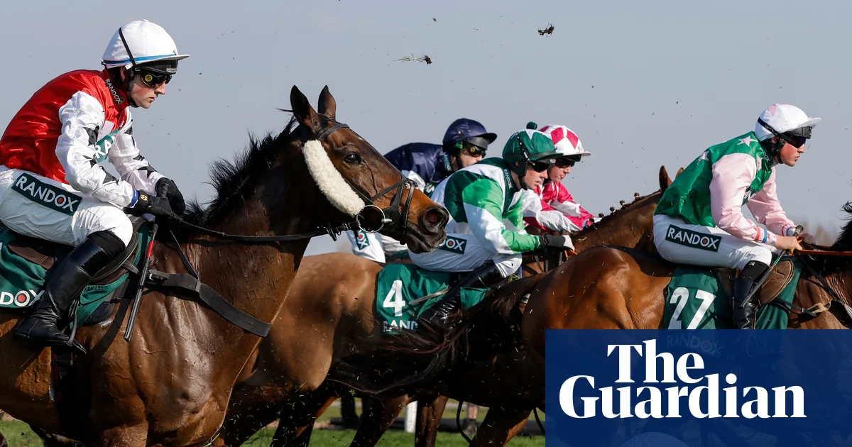 The horse welfare debate helps highlight the Grand National's precarious status