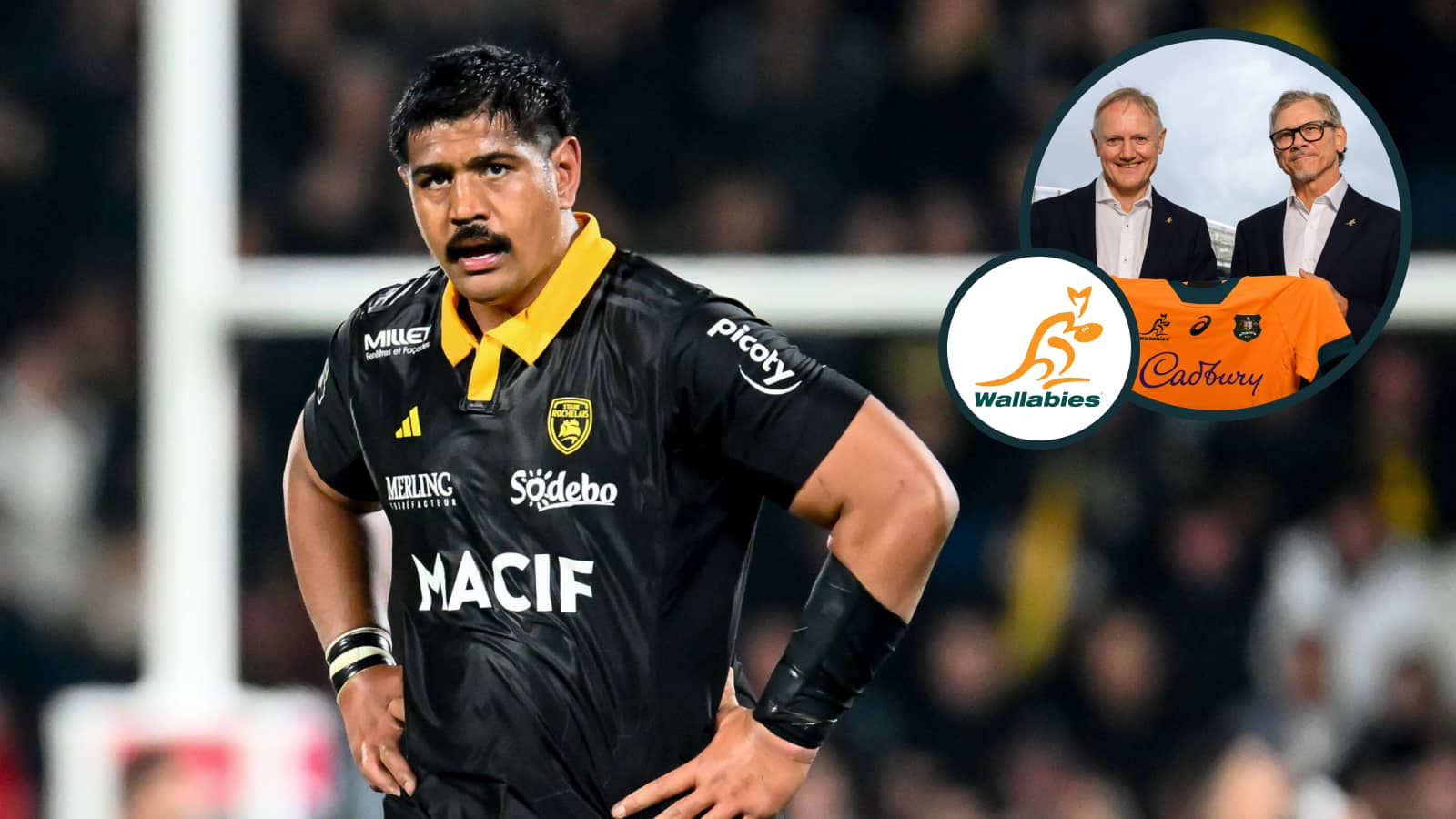 The question Joe Schmidt and the Wallabies should be asking after Will Skelton's call